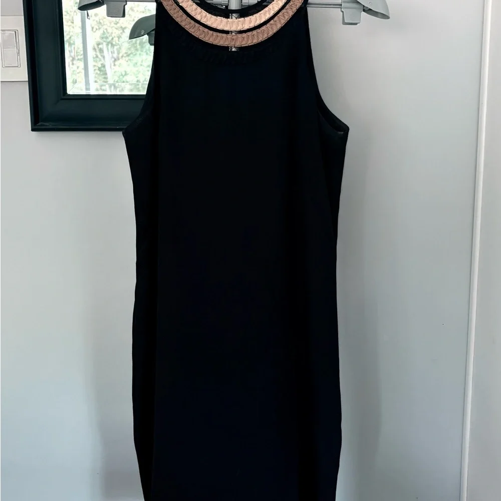 Ann Taylor Black Shift Dress with Metallic Braided Neckline – Size 8P - Picture 3 of 5